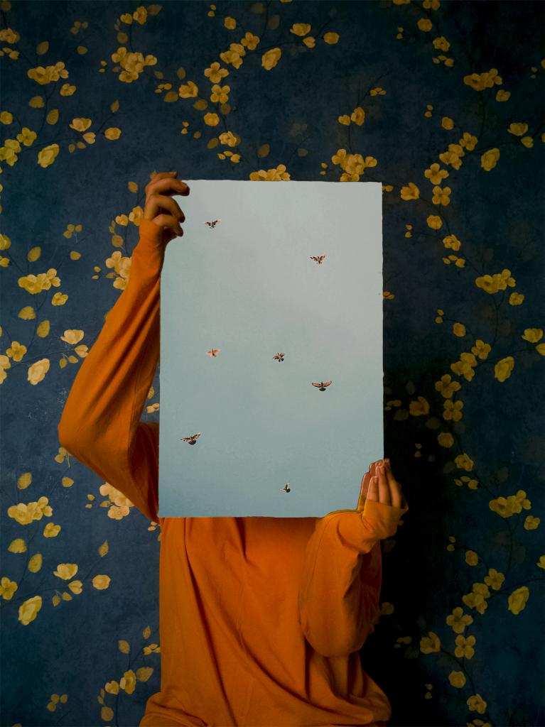Freedom: A Photo Collection by The Interlude