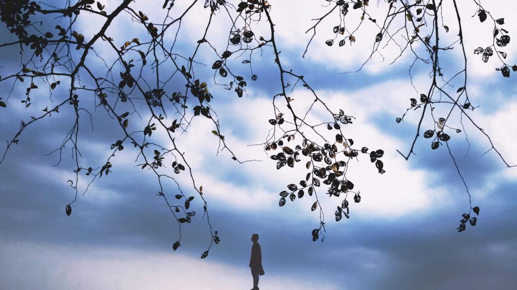Freedom: A Photo Collection by The Interlude