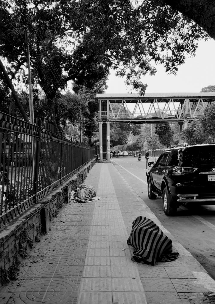 Freedom: A Photo Collection by The Interlude