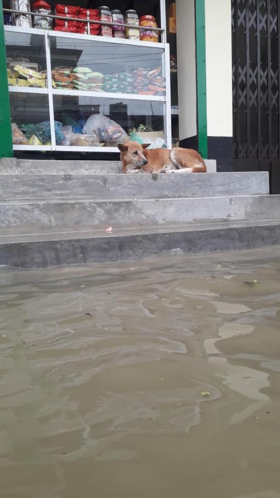 Flood Situation in Sylhet
