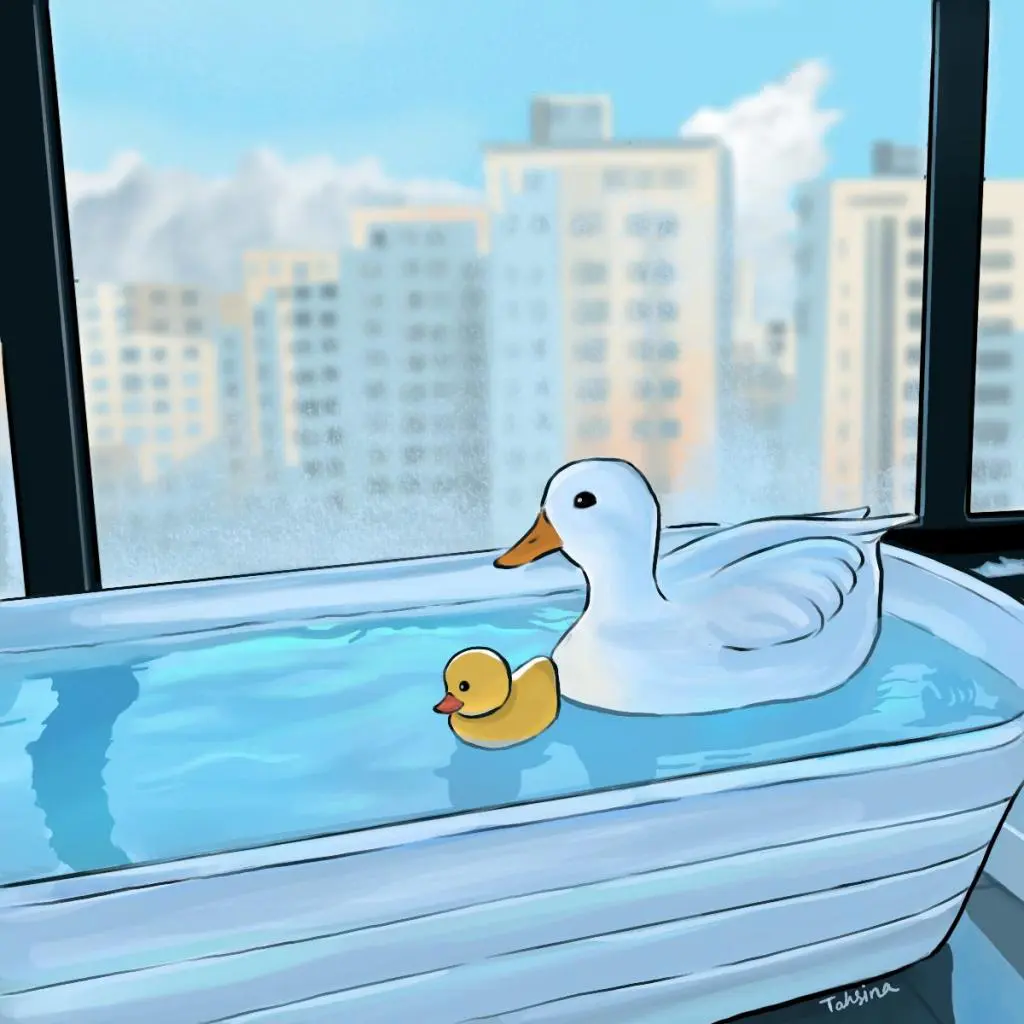 mr quack