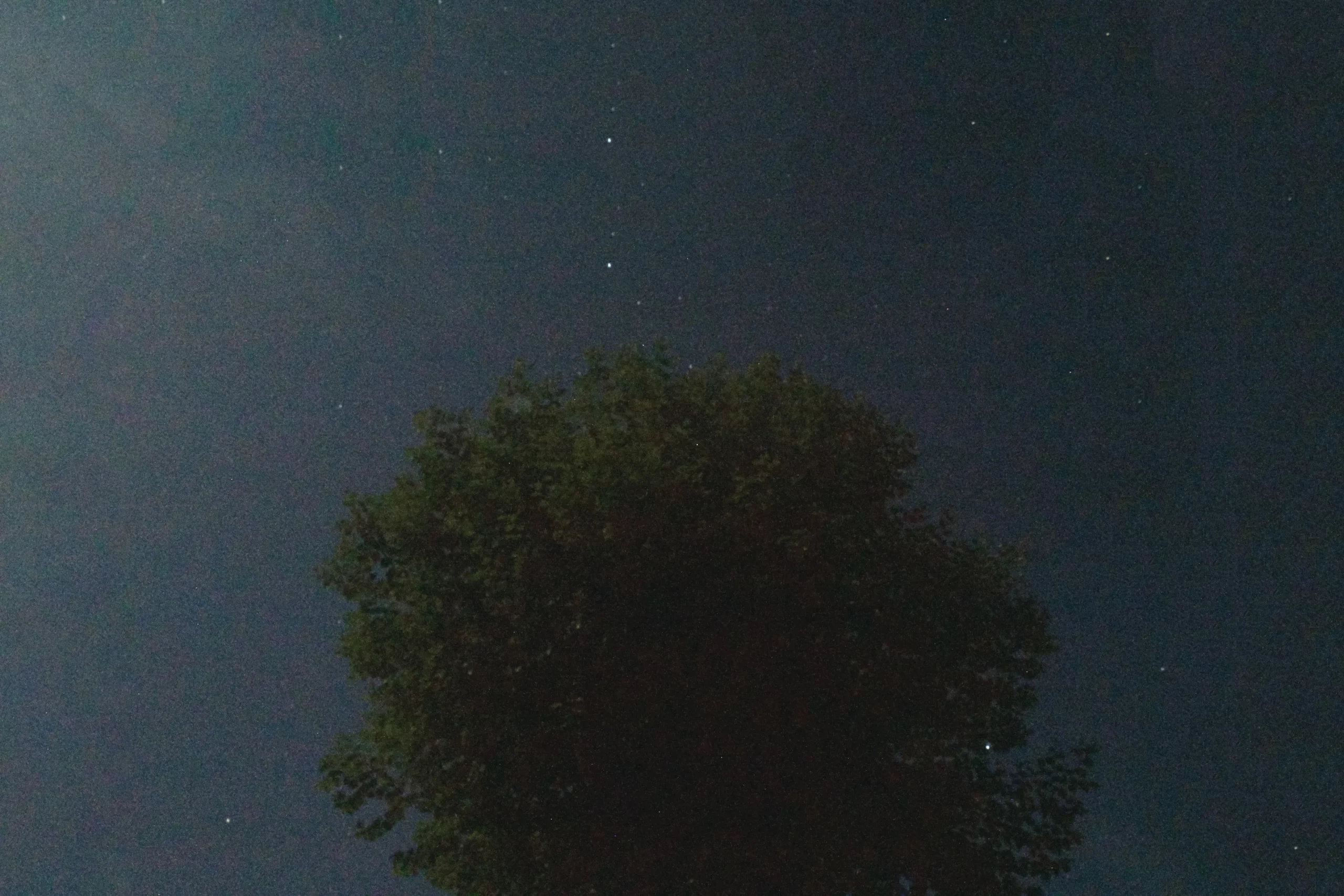 under the moonlight