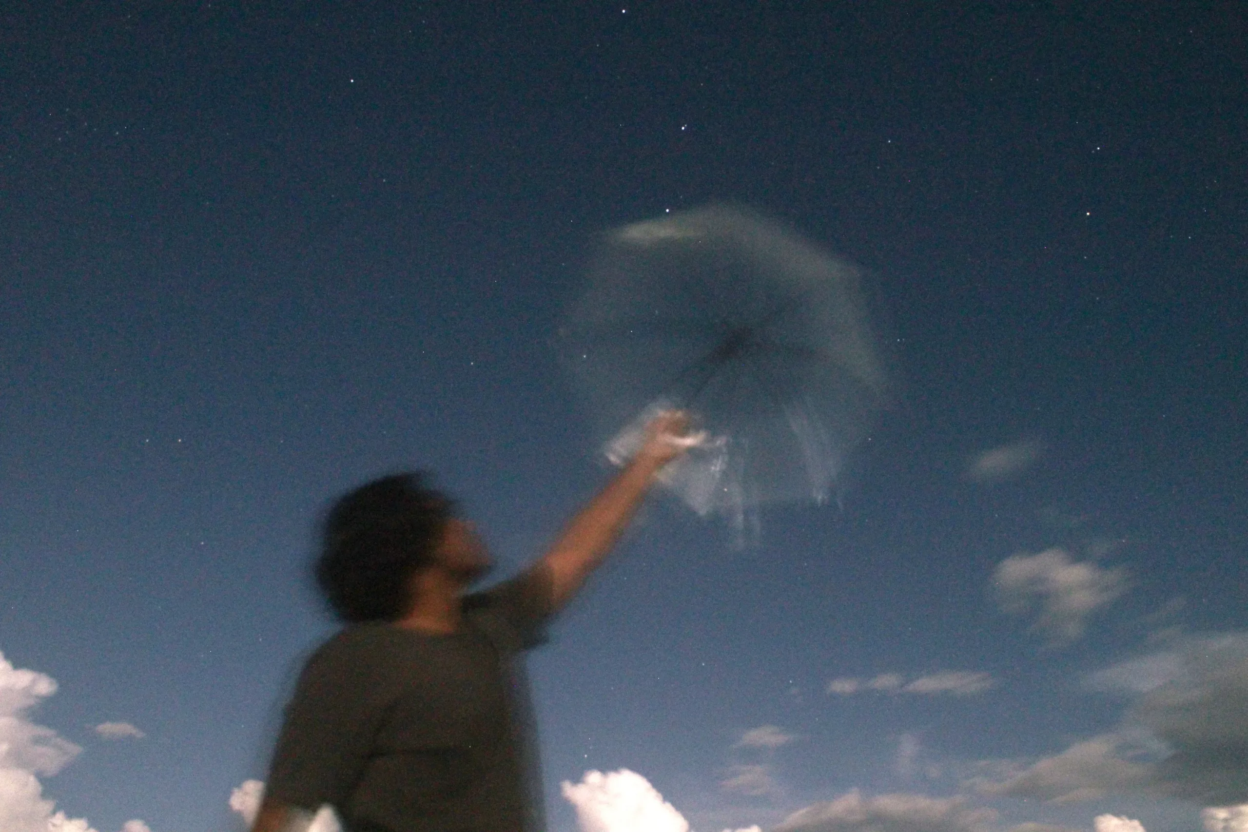 under the moonlight